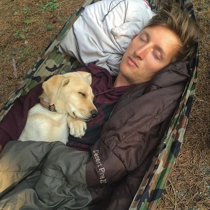 "Camping With Dogs" Instagram Will Inspire You To Go Hiking With Your Dog