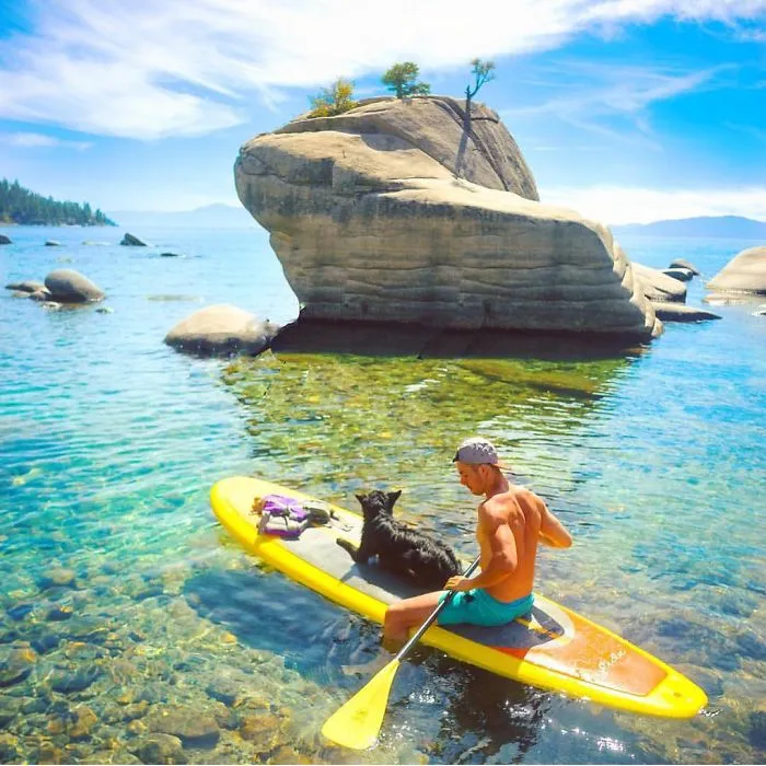 "Camping With Dogs" Instagram Will Inspire You To Go Hiking With Your Dog