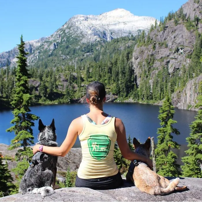 "Camping With Dogs" Instagram Will Inspire You To Go Hiking With Your Dog