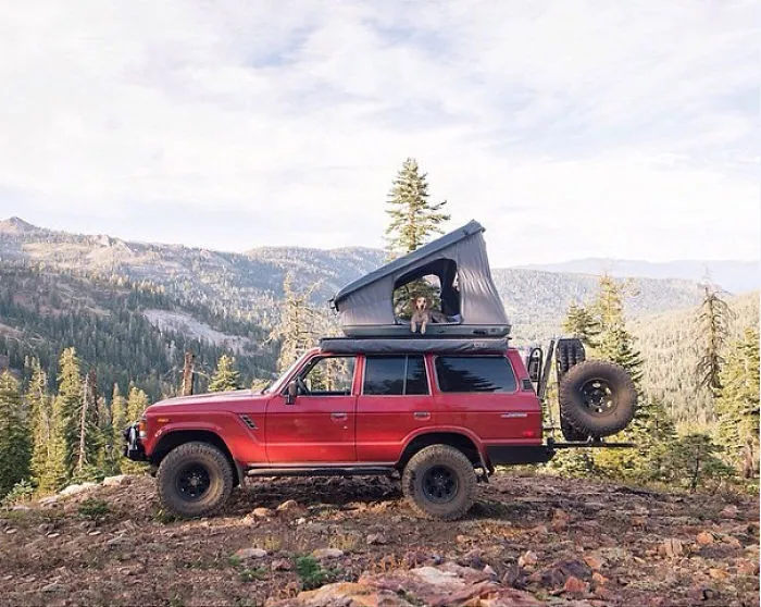 "Camping With Dogs" Instagram Will Inspire You To Go Hiking With Your Dog