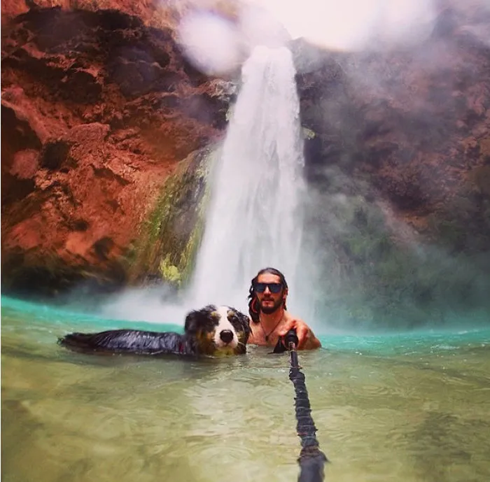 "Camping With Dogs" Instagram Will Inspire You To Go Hiking With Your Dog