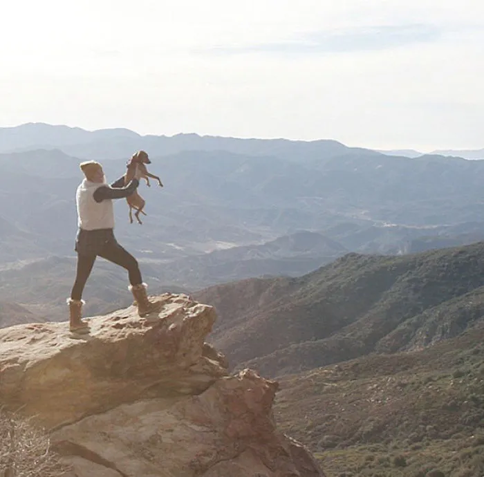 "Camping With Dogs" Instagram Will Inspire You To Go Hiking With Your Dog