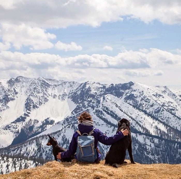 "Camping With Dogs" Instagram Will Inspire You To Go Hiking With Your Dog