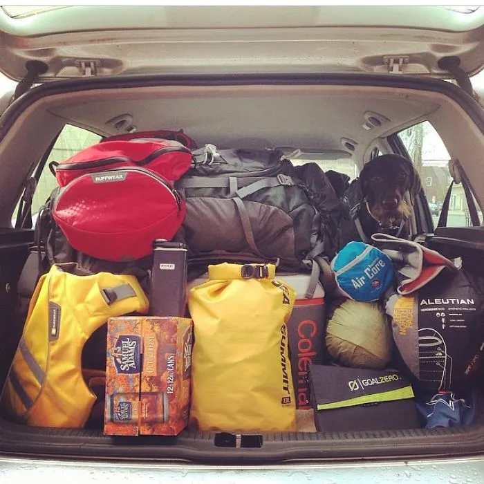 "Camping With Dogs" Instagram Will Inspire You To Go Hiking With Your Dog