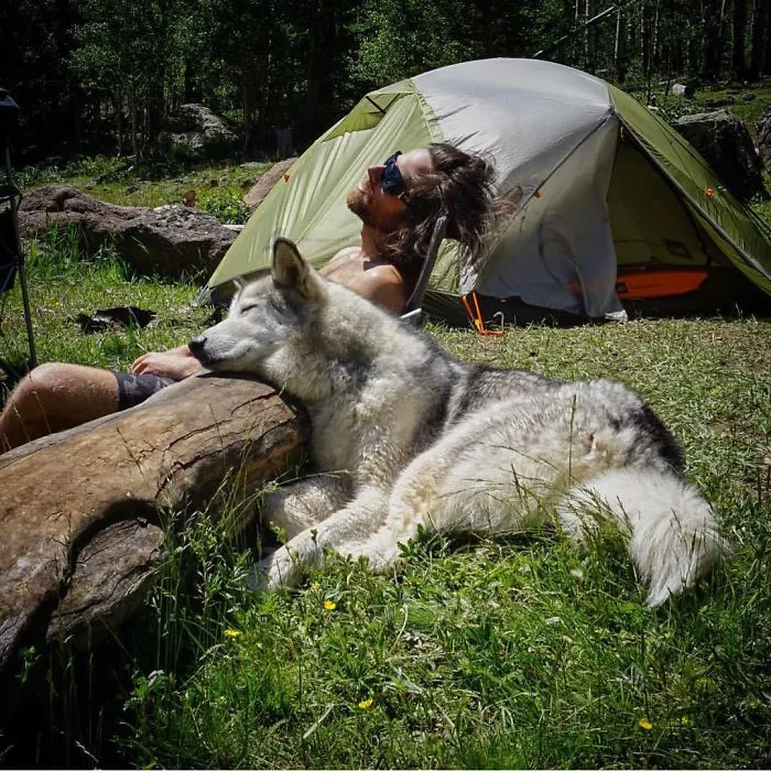 "Camping With Dogs" Instagram Will Inspire You To Go Hiking With Your Dog