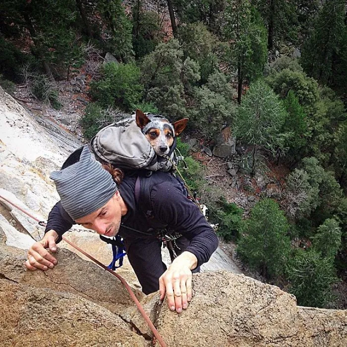 "Camping With Dogs" Instagram Will Inspire You To Go Hiking With Your Dog