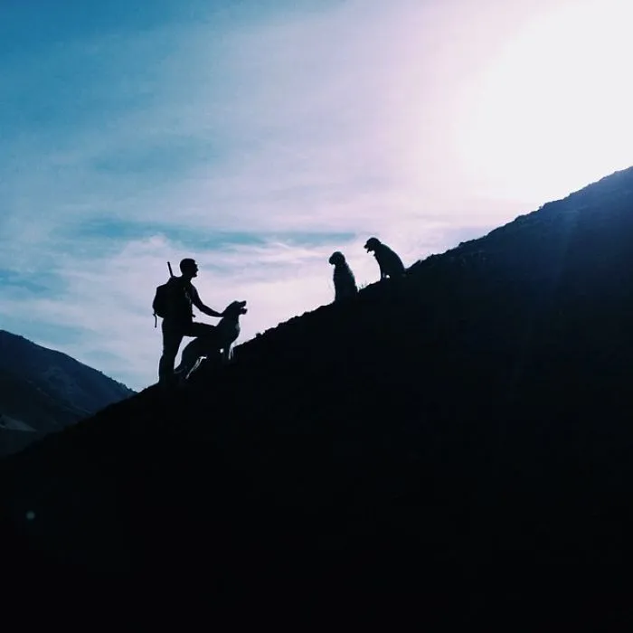 "Camping With Dogs" Instagram Will Inspire You To Go Hiking With Your Dog