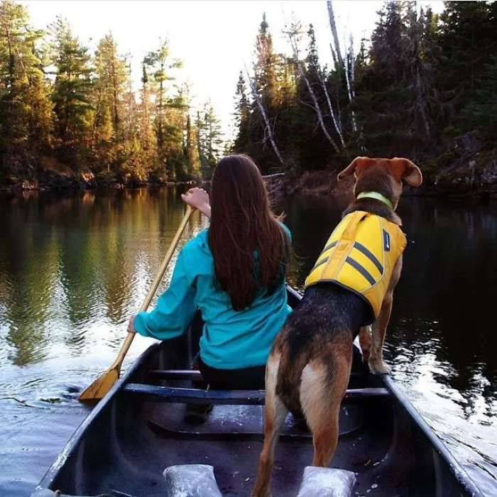 "Camping With Dogs" Instagram Will Inspire You To Go Hiking With Your Dog