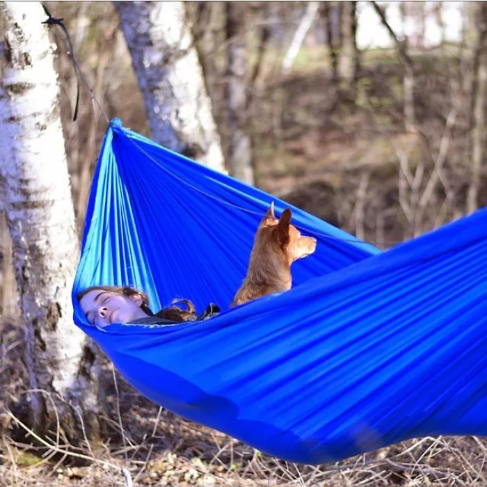 "Camping With Dogs" Instagram Will Inspire You To Go Hiking With Your Dog