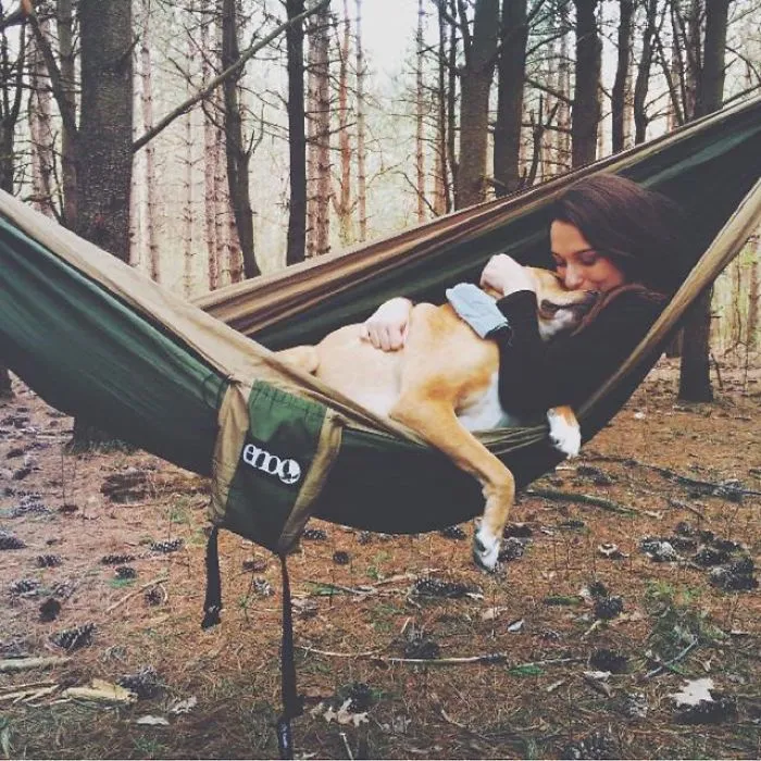 "Camping With Dogs" Instagram Will Inspire You To Go Hiking With Your Dog