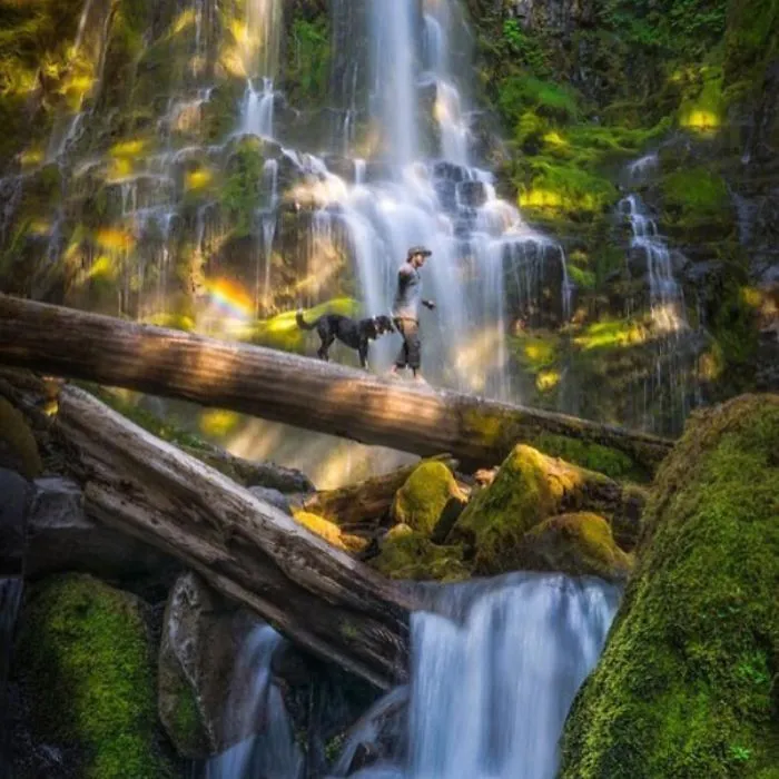 "Camping With Dogs" Instagram Will Inspire You To Go Hiking With Your Dog