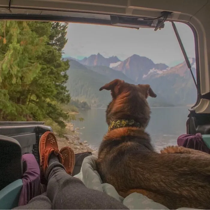 "Camping With Dogs" Instagram Will Inspire You To Go Hiking With Your Dog