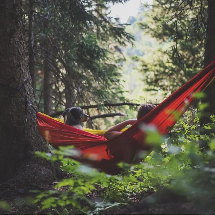 "Camping With Dogs" Instagram Will Inspire You To Go Hiking With Your Dog