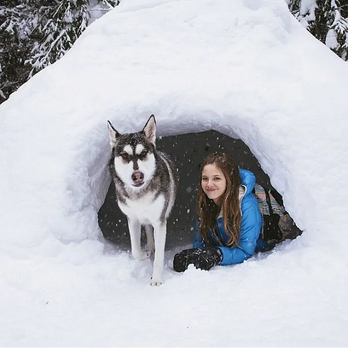 "Camping With Dogs" Instagram Will Inspire You To Go Hiking With Your Dog