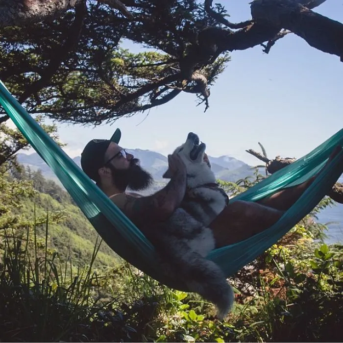 "Camping With Dogs" Instagram Will Inspire You To Go Hiking With Your Dog