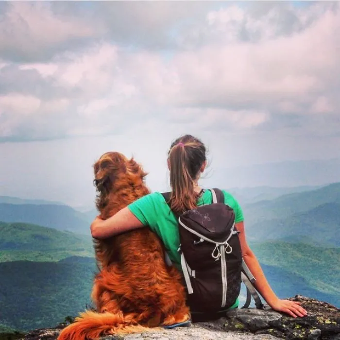 "Camping With Dogs" Instagram Will Inspire You To Go Hiking With Your Dog