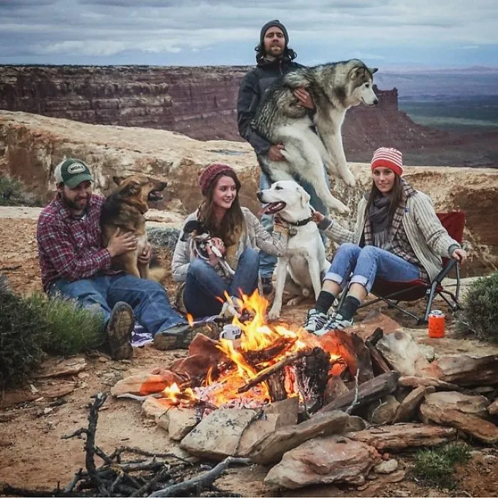 "Camping With Dogs" Instagram Will Inspire You To Go Hiking With Your Dog