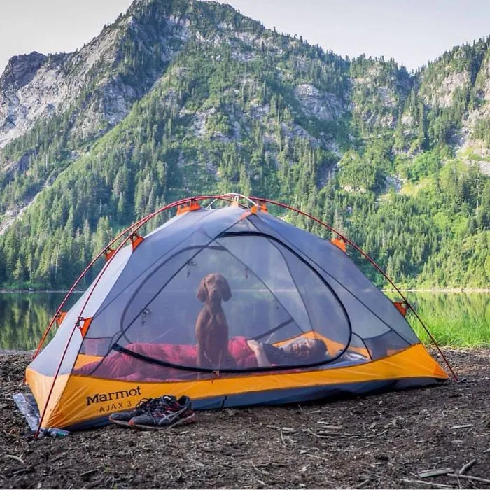 "Camping With Dogs" Instagram Will Inspire You To Go Hiking With Your Dog