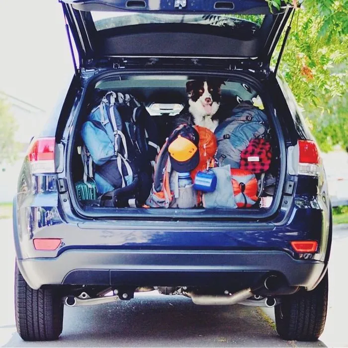 "Camping With Dogs" Instagram Will Inspire You To Go Hiking With Your Dog