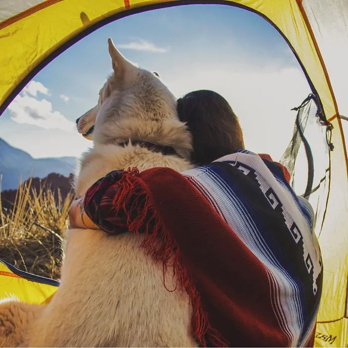 "Camping With Dogs" Instagram Will Inspire You To Go Hiking With Your Dog