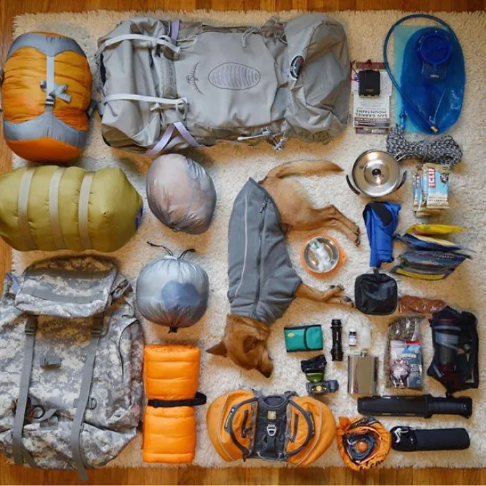 "Camping With Dogs" Instagram Will Inspire You To Go Hiking With Your Dog