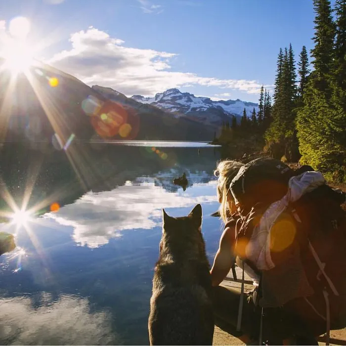 "Camping With Dogs" Instagram Will Inspire You To Go Hiking With Your Dog