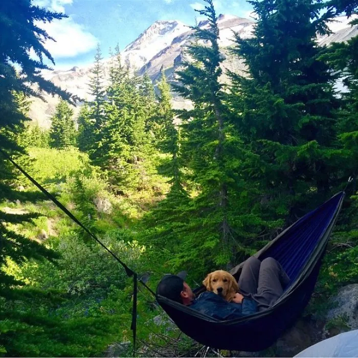 "Camping With Dogs" Instagram Will Inspire You To Go Hiking With Your Dog