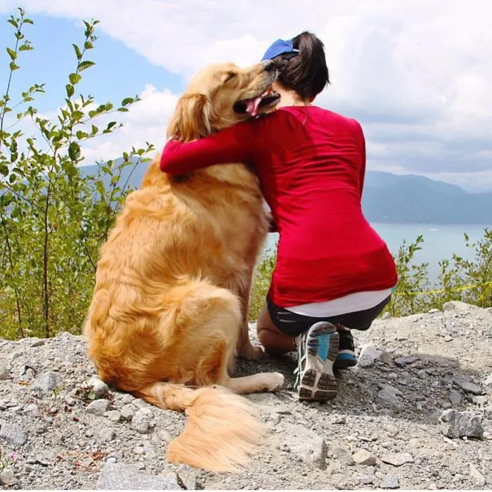"Camping With Dogs" Instagram Will Inspire You To Go Hiking With Your Dog