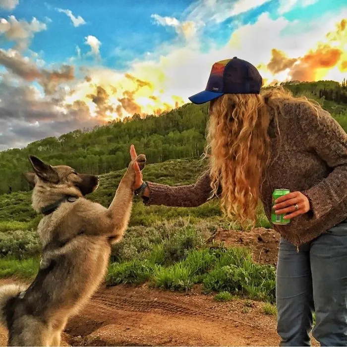 "Camping With Dogs" Instagram Will Inspire You To Go Hiking With Your Dog
