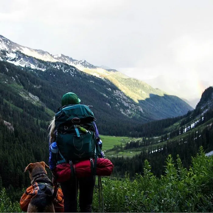 "Camping With Dogs" Instagram Will Inspire You To Go Hiking With Your Dog