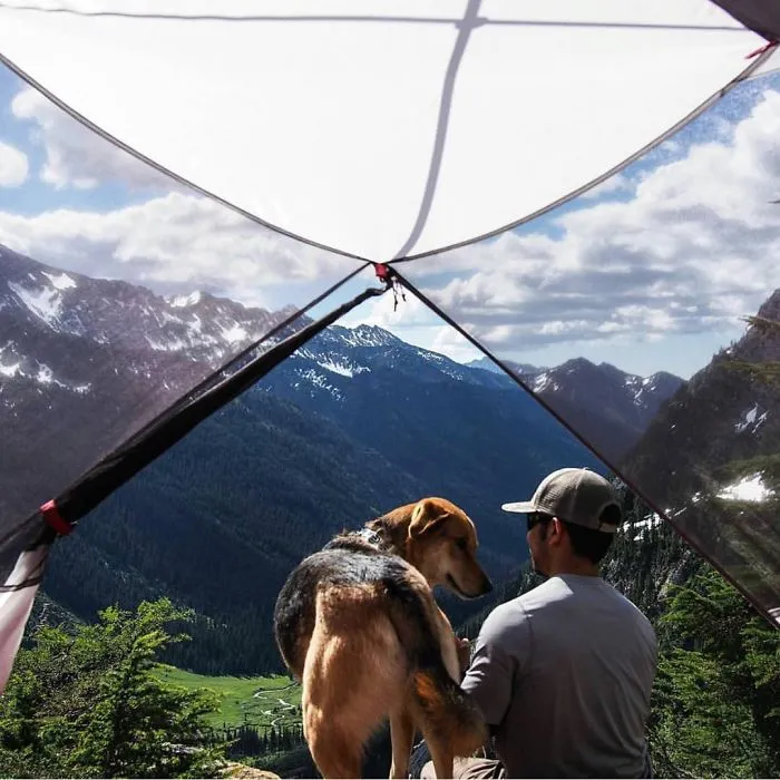 "Camping With Dogs" Instagram Will Inspire You To Go Hiking With Your Dog