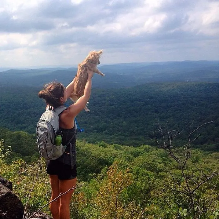 "Camping With Dogs" Instagram Will Inspire You To Go Hiking With Your Dog
