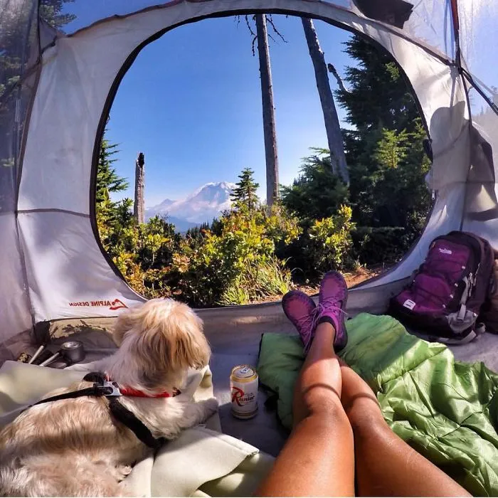 "Camping With Dogs" Instagram Will Inspire You To Go Hiking With Your Dog