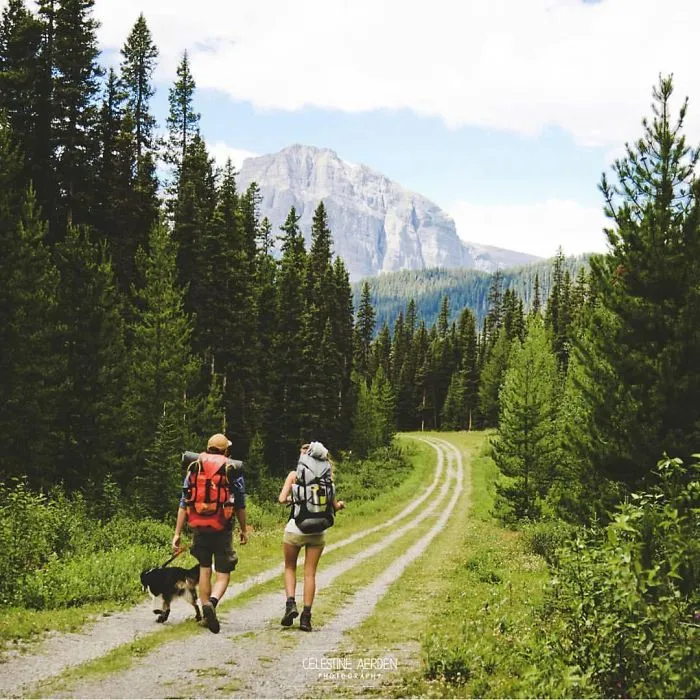 "Camping With Dogs" Instagram Will Inspire You To Go Hiking With Your Dog