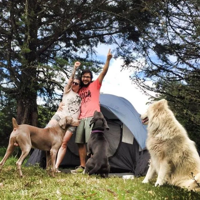 "Camping With Dogs" Instagram Will Inspire You To Go Hiking With Your Dog