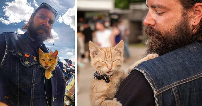 Biker Saves Badly Burned Kitten, Continues Cross-Country Trip With Him