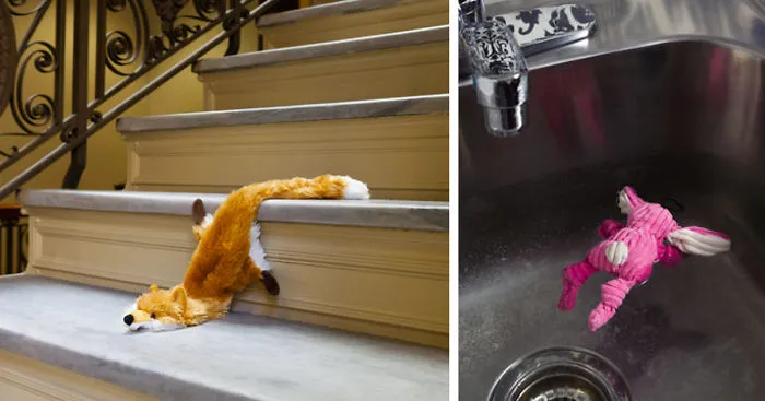 A Darkly Humorous Look At Crime Scene Photography