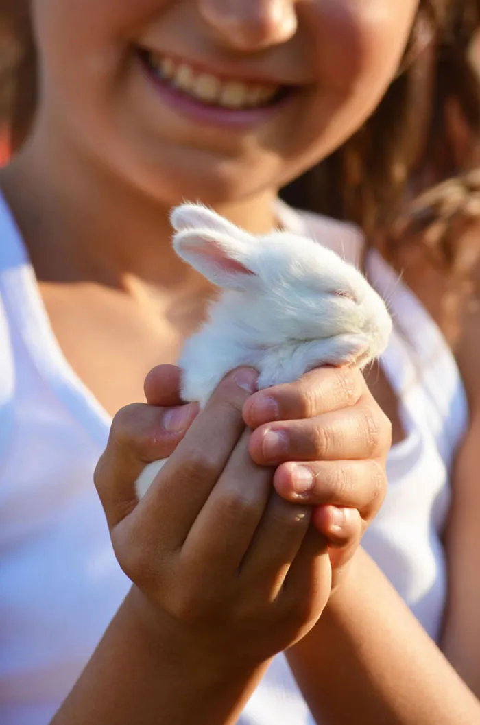 A child gently holding a small, cute bunny in their hands, smiling in the background.