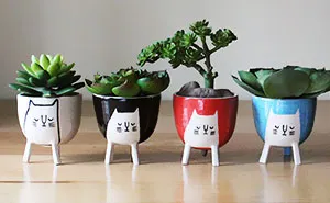Fun Ceramics That I Make Together With My Husband