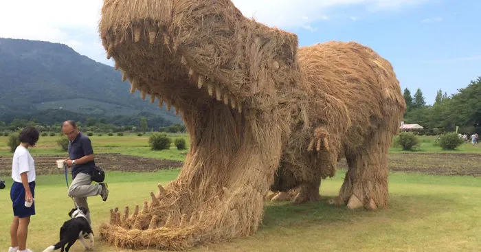 Giant Straw Dinosaurs Invade Japanese Fields After Rice Harvest