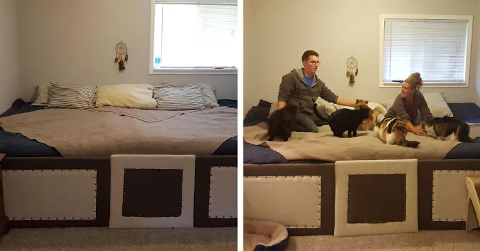 Couple Has 5 Cats And 2 Dogs That All Love To Sleep In Bed So They Made A 11ft Mega Bed