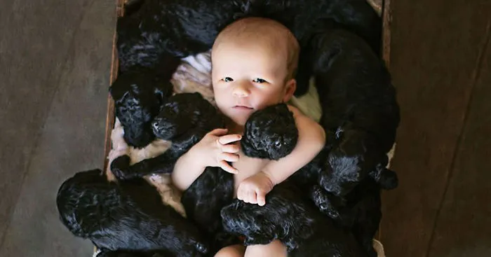 Human And Her Dog Had Babies On The Same Day So They Did An Adorable Photoshoot