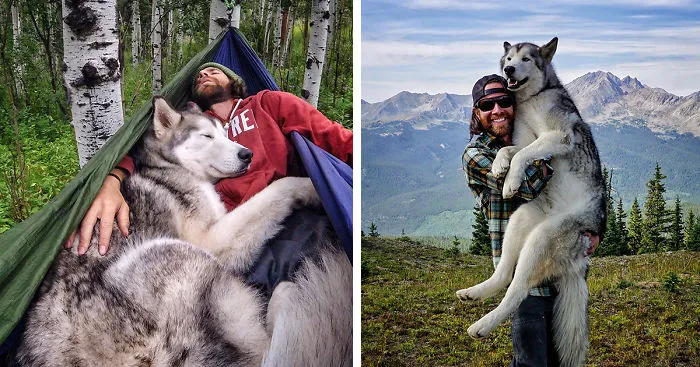 I Take My Wolfdog On Epic Adventures Because I Hate To See Dogs Locked Away