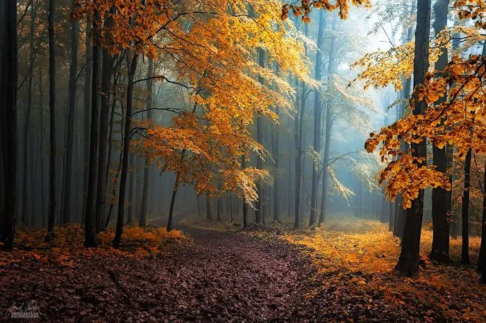 Autumn10