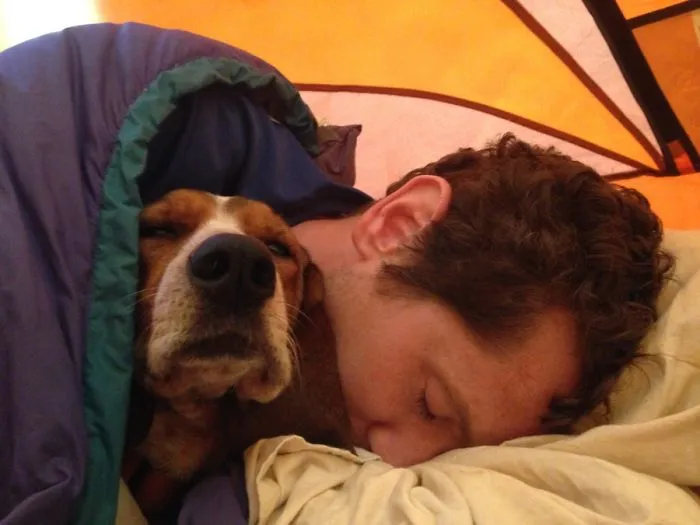 "Camping With Dogs" Instagram Will Inspire You To Go Hiking With Your Dog