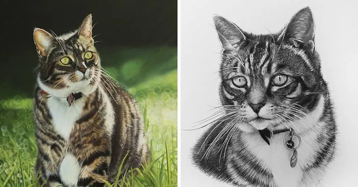 Photo-Realistic Portraits Of Pets.