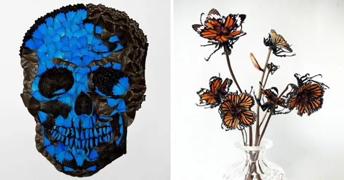 I Create Skull Collages And Flowers Out Of Insects And Spiders