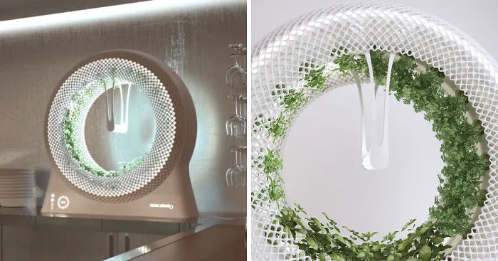 Our NASA-Inspired Green Wheel Lets You Grow Herbs And Salad Indoors