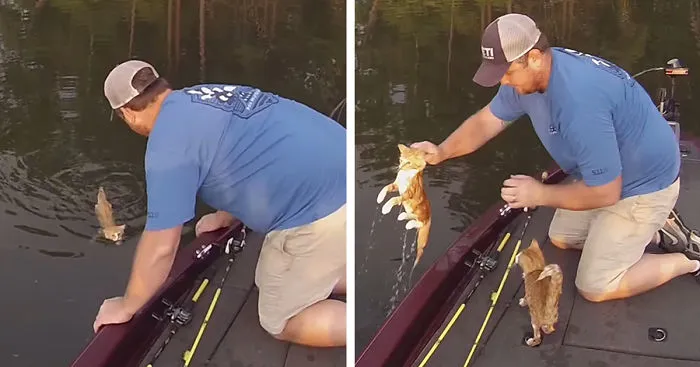Two Guys Went Fishing But Ended Up Catching Abandoned Kittens
