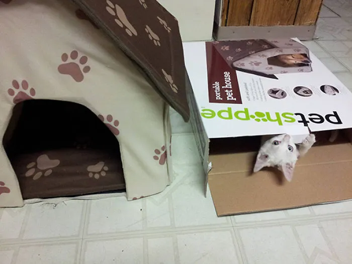I Bought Him A New House. He Made Himself At Home